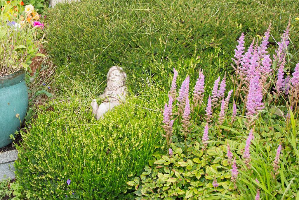 Bed and Breakfast Doireliath Bantry Exteriér fotografie